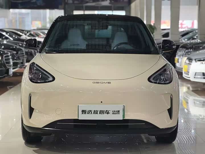 Фото 2 - Geely Galaxy Geome