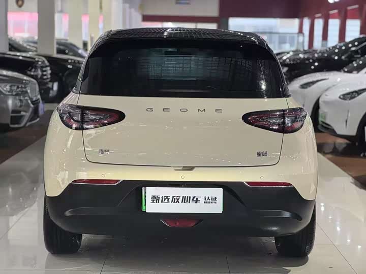 Фото 4 - Geely Galaxy Geome