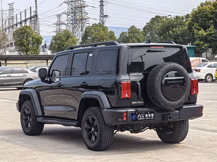 Фото 4 - Tank 300