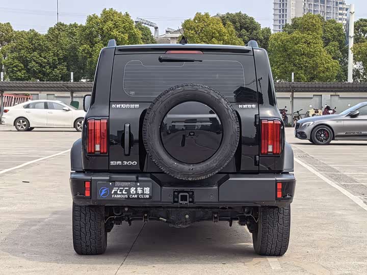 Фото 5 - Tank 300