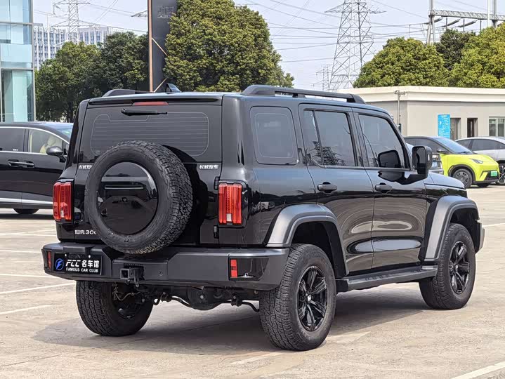 Фото 6 - Tank 300