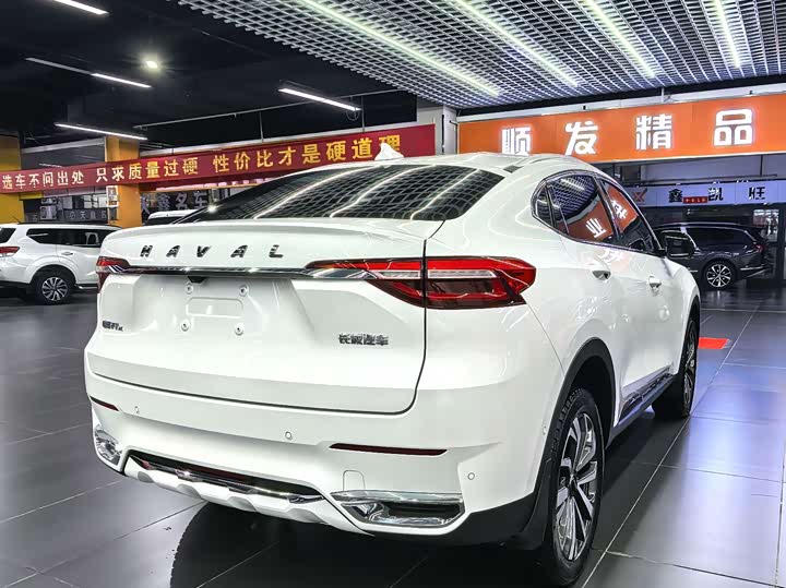 Фото 4 - Haval F7x