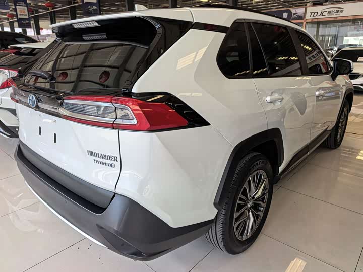 Фото 6 - Toyota Wildlander