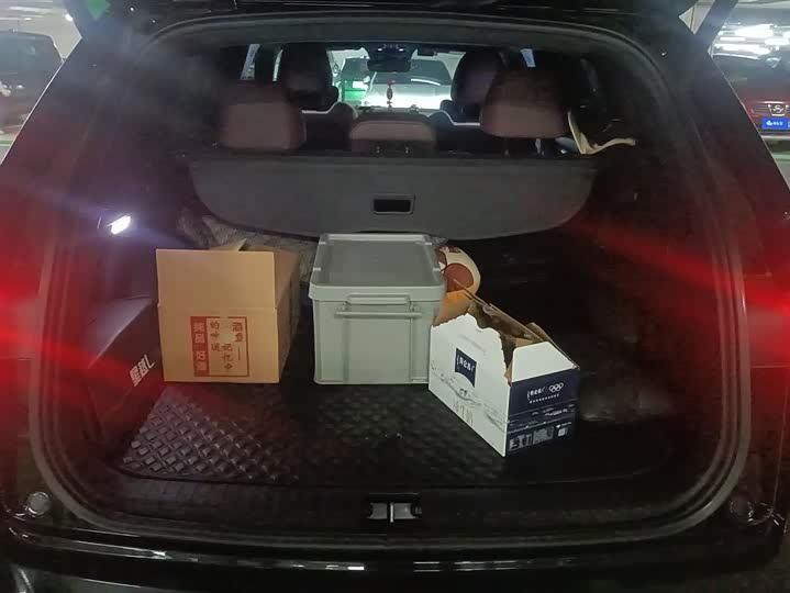 Фото 4 - Geely Monjaro