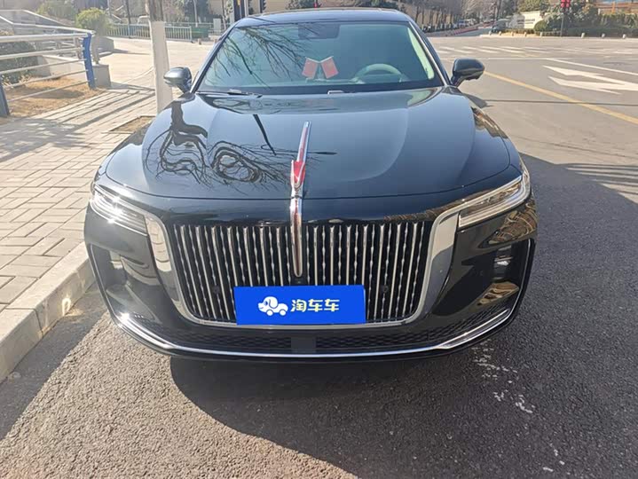 Photo 2 - Hongqi H9