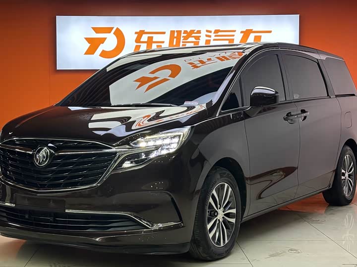 Фото 1 - Buick GL8 ES