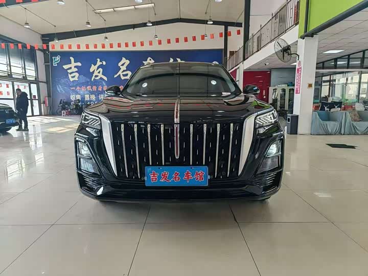 Фото 2 - Hongqi HS5