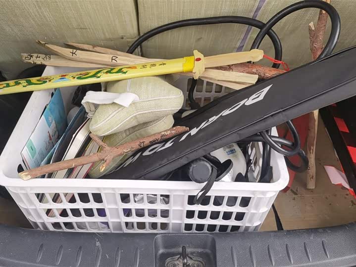 Фото 4 - Changan BenBen E-Star