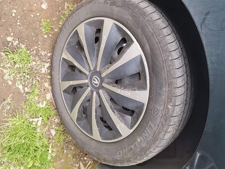 Фото 6 - Changan BenBen E-Star