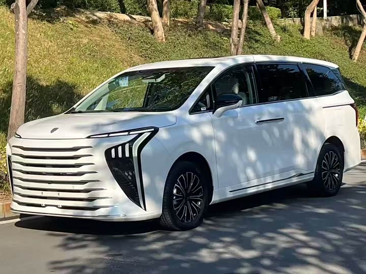 Фото 1 - Dongfeng Forthing Xinghai V9