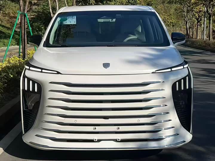 Фото 2 - Dongfeng Forthing Xinghai V9