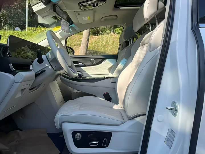 Фото 3 - Dongfeng Forthing Xinghai V9