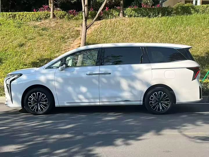 Фото 7 - Dongfeng Forthing Xinghai V9