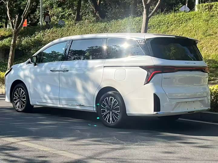 Фото 8 - Dongfeng Forthing Xinghai V9