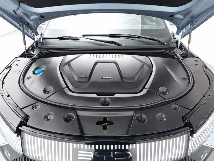 Фото 6 - BYD Frigate 07