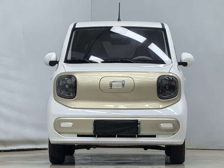 Фото 2 - Bestune Pony