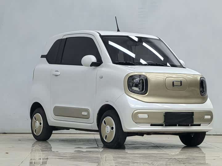 Фото 3 - Bestune Pony