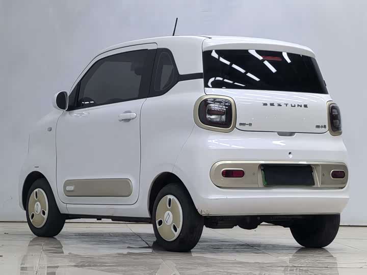 Фото 7 - Bestune Pony