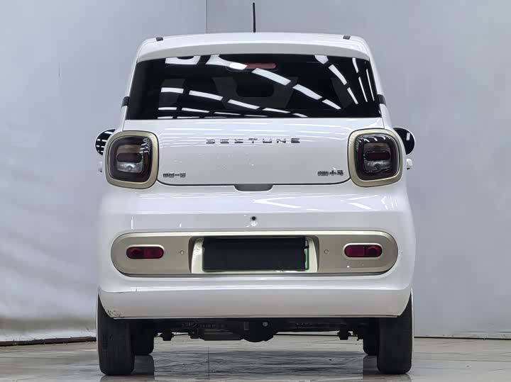 Фото 8 - Bestune Pony