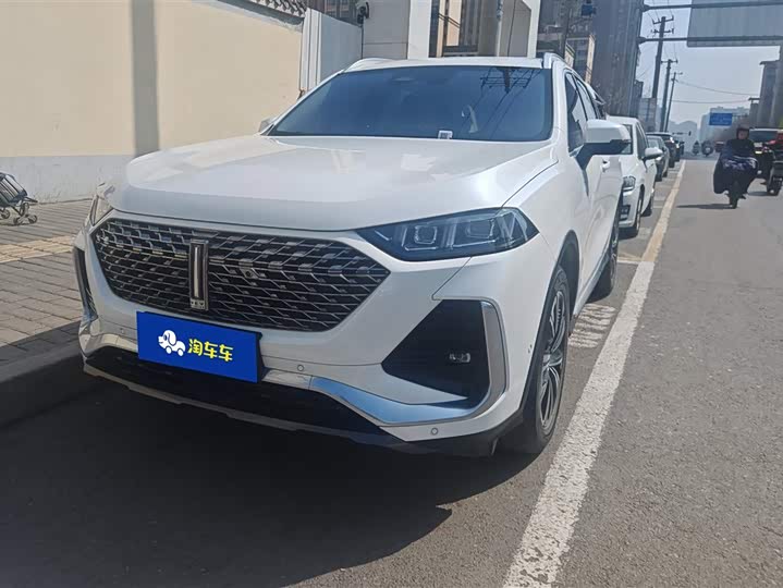 Фото 1 - Wey Latte DHT