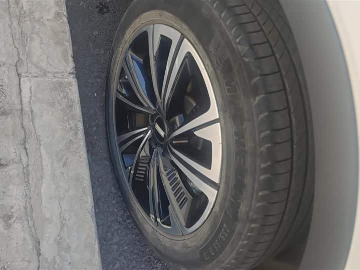 Фото 6 - Wey Latte DHT