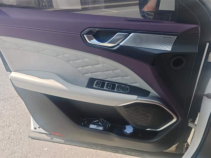 Фото 7 - Wey Latte DHT