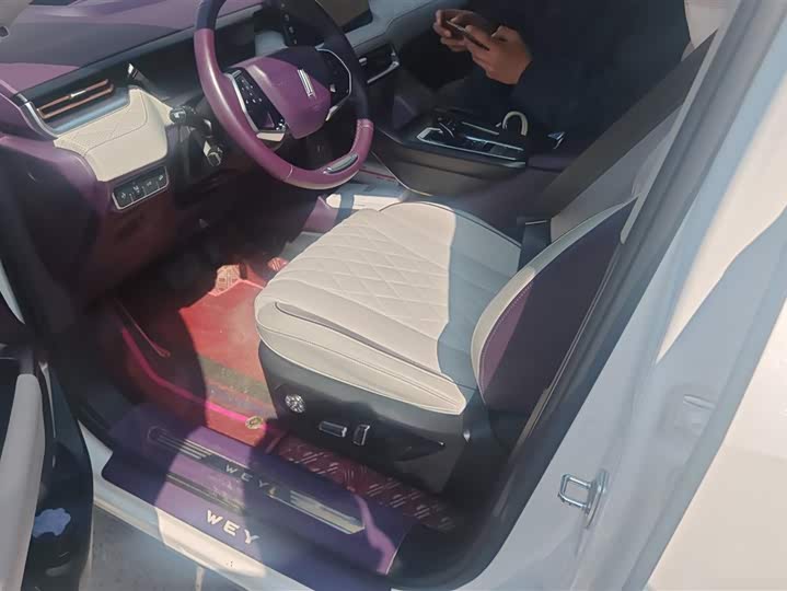 Фото 9 - Wey Latte DHT