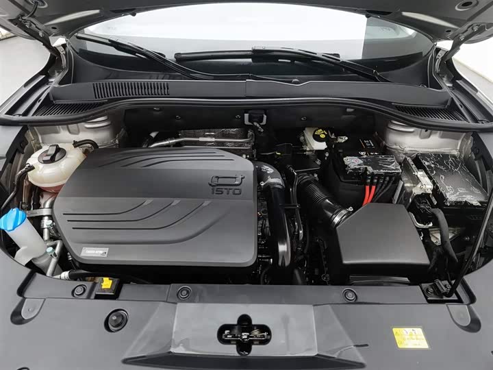 Фото 6 - Bestune T90