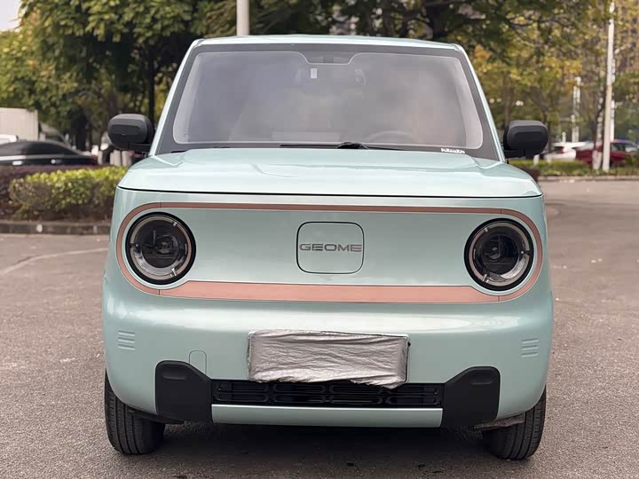 Фото 3 - Geely Galaxy Panda Mini