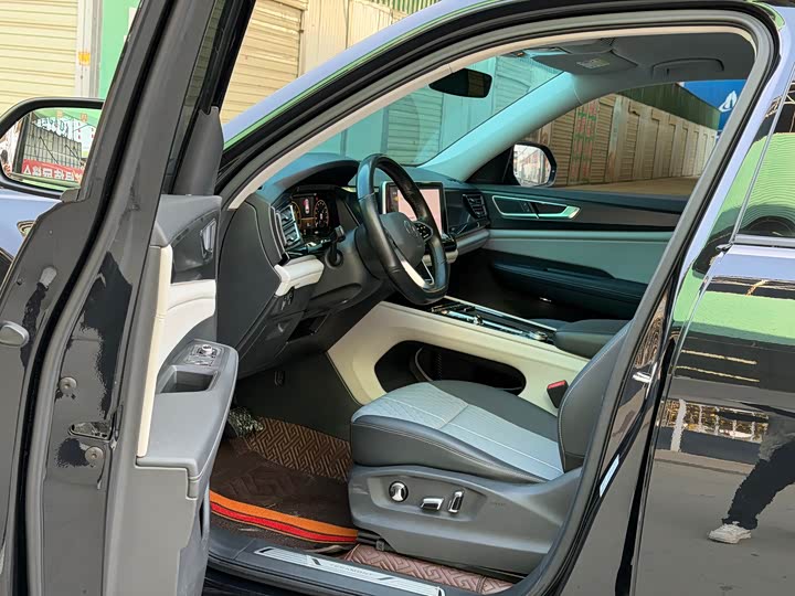 Photo 7 - Volkswagen Teramont Pro