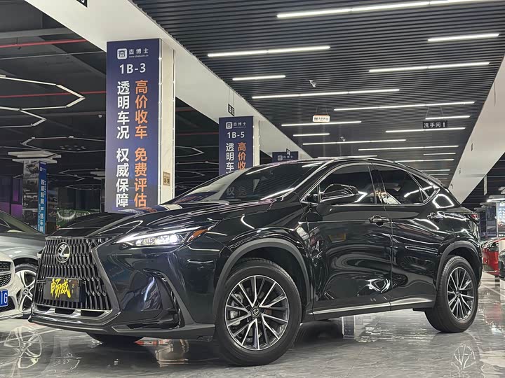 Фото 1 - Lexus NX
