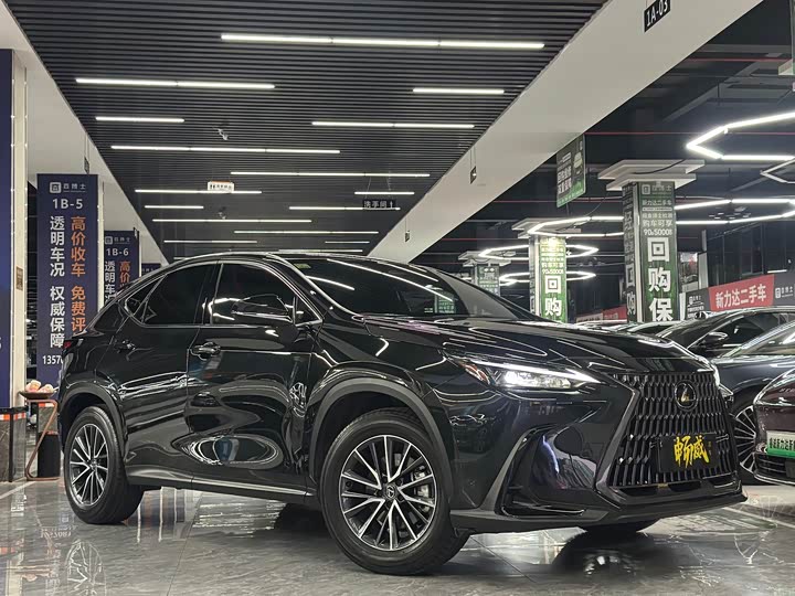 Фото 3 - Lexus NX