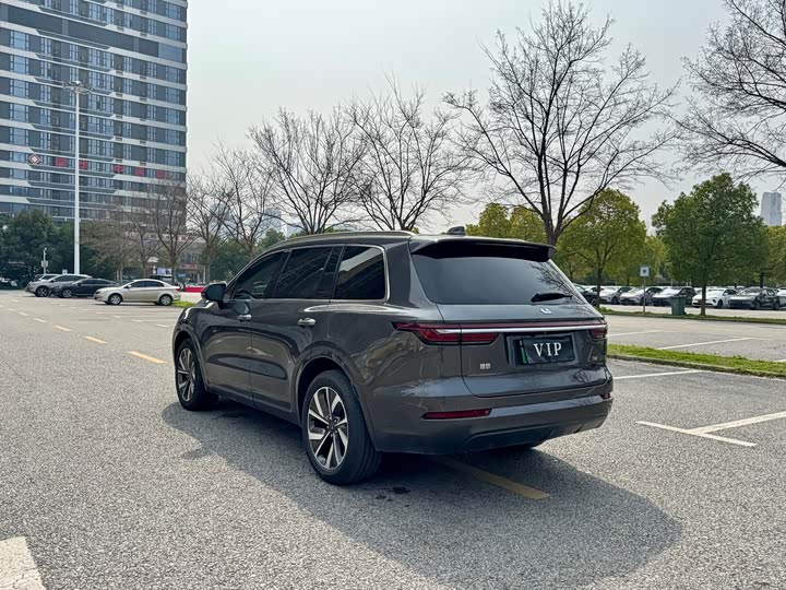 Фото 9 - LiXiang One