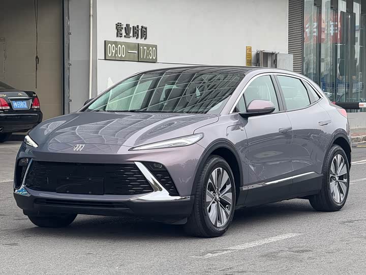 Фото 1 - Buick Electra E4