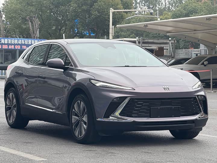 Фото 3 - Buick Electra E4