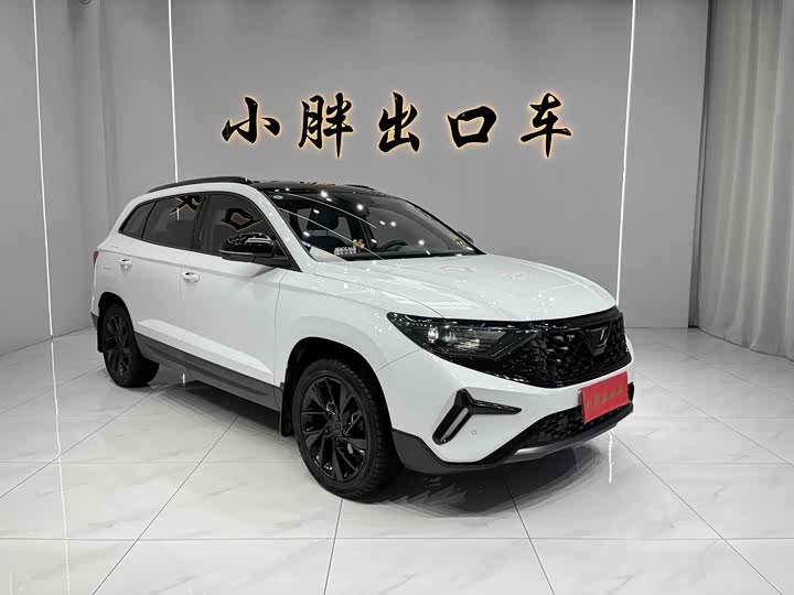 Фото 2 - Jetta VS7