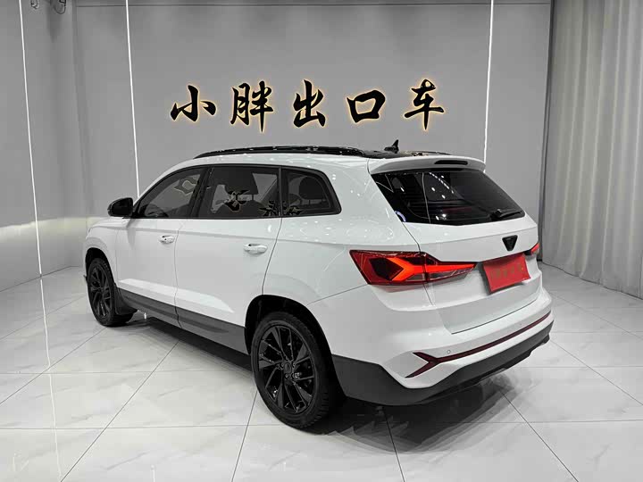 Фото 6 - Jetta VS7