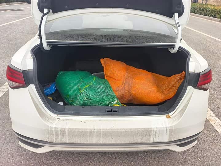 Фото 4 - Nissan Sylphy