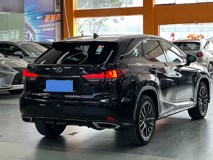 Фото 8 - Lexus RX