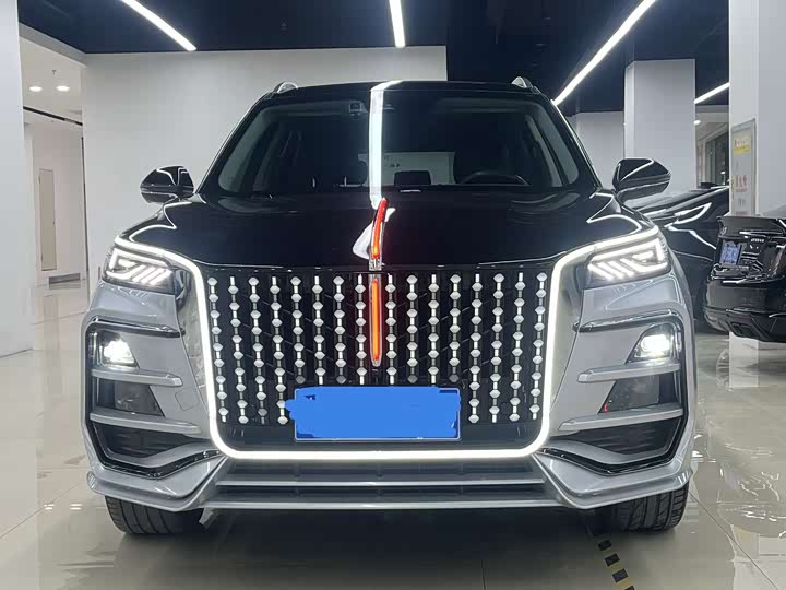 Photo 3 - Hongqi HS5