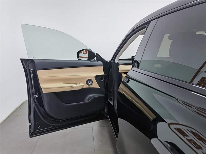 Фото 8 - Exeed Sterra ET