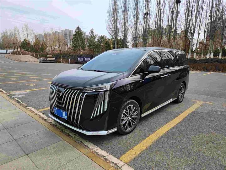 Фото 1 - GAC Trumpchi M8