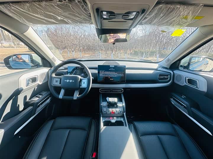 Фото 9 - BYD FangChengBao Titanium 3 (Tai 3)