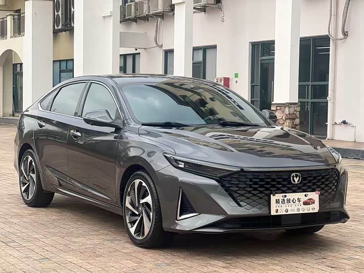 Фото 3 - Changan Raeton Plus