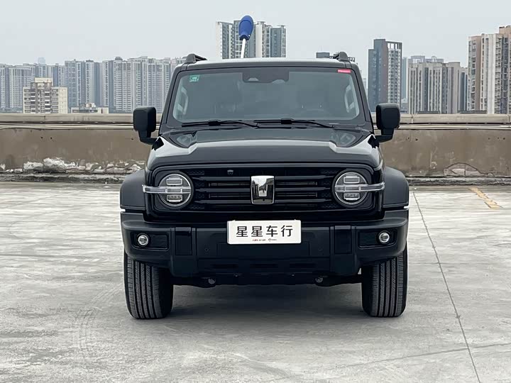 Фото 2 - Tank 300