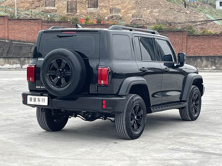 Фото 6 - Tank 300