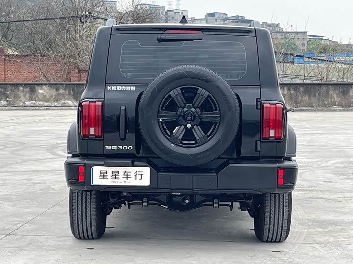 Фото 7 - Tank 300