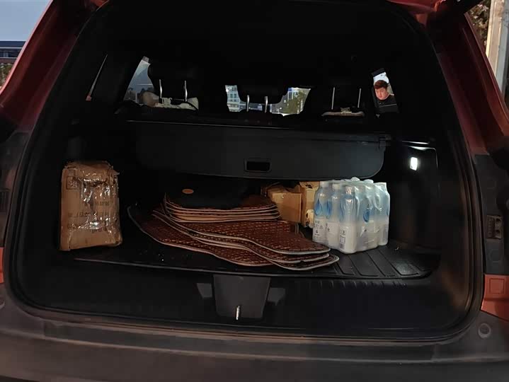 Фото 4 - Haval Dargo