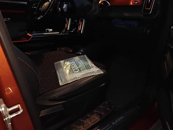 Фото 8 - Haval Dargo