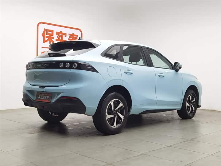 Photo 2 - Dongfeng Forthing Leiting